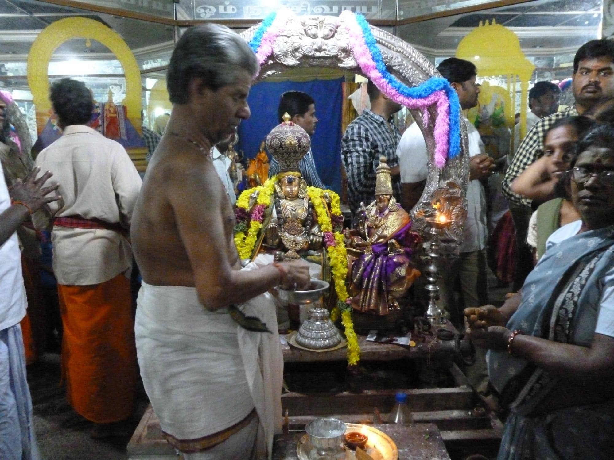 Elevated Basement Architecture