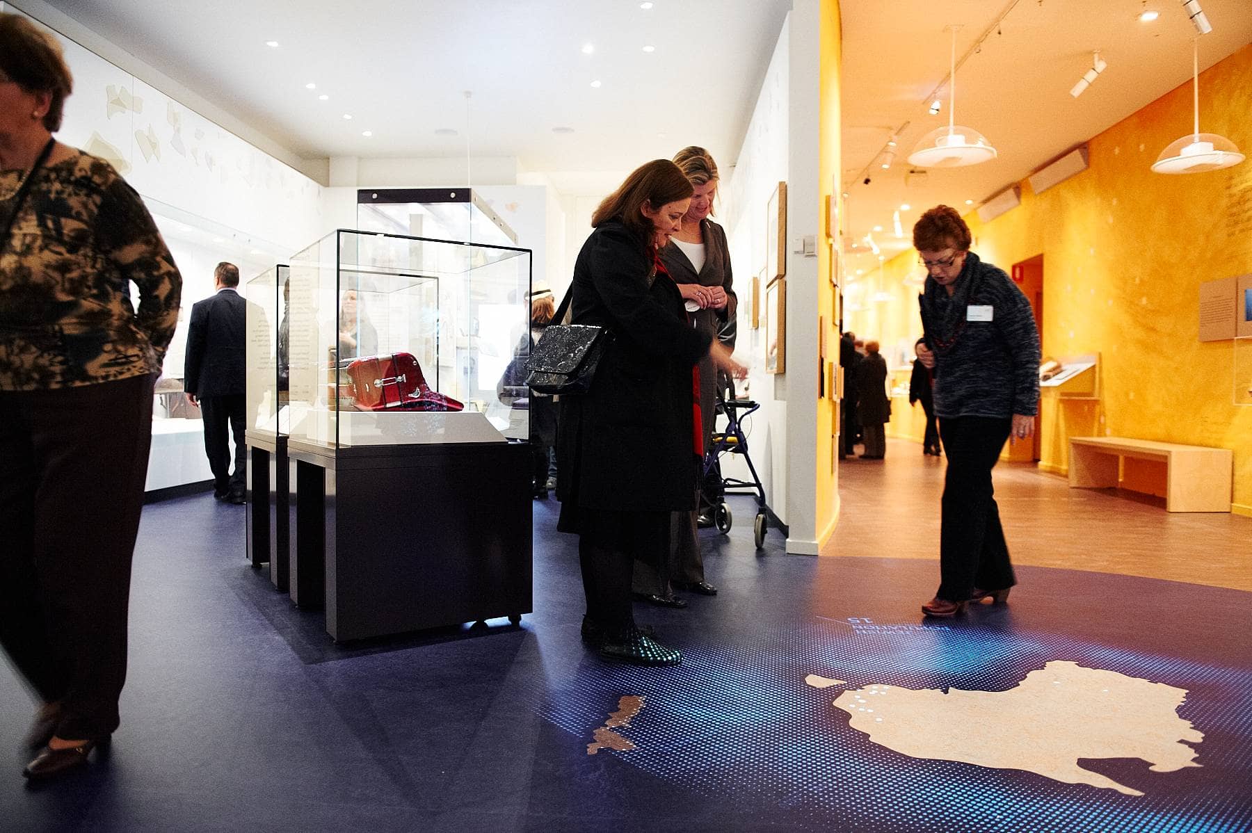 Interactive & Multimedia Displays