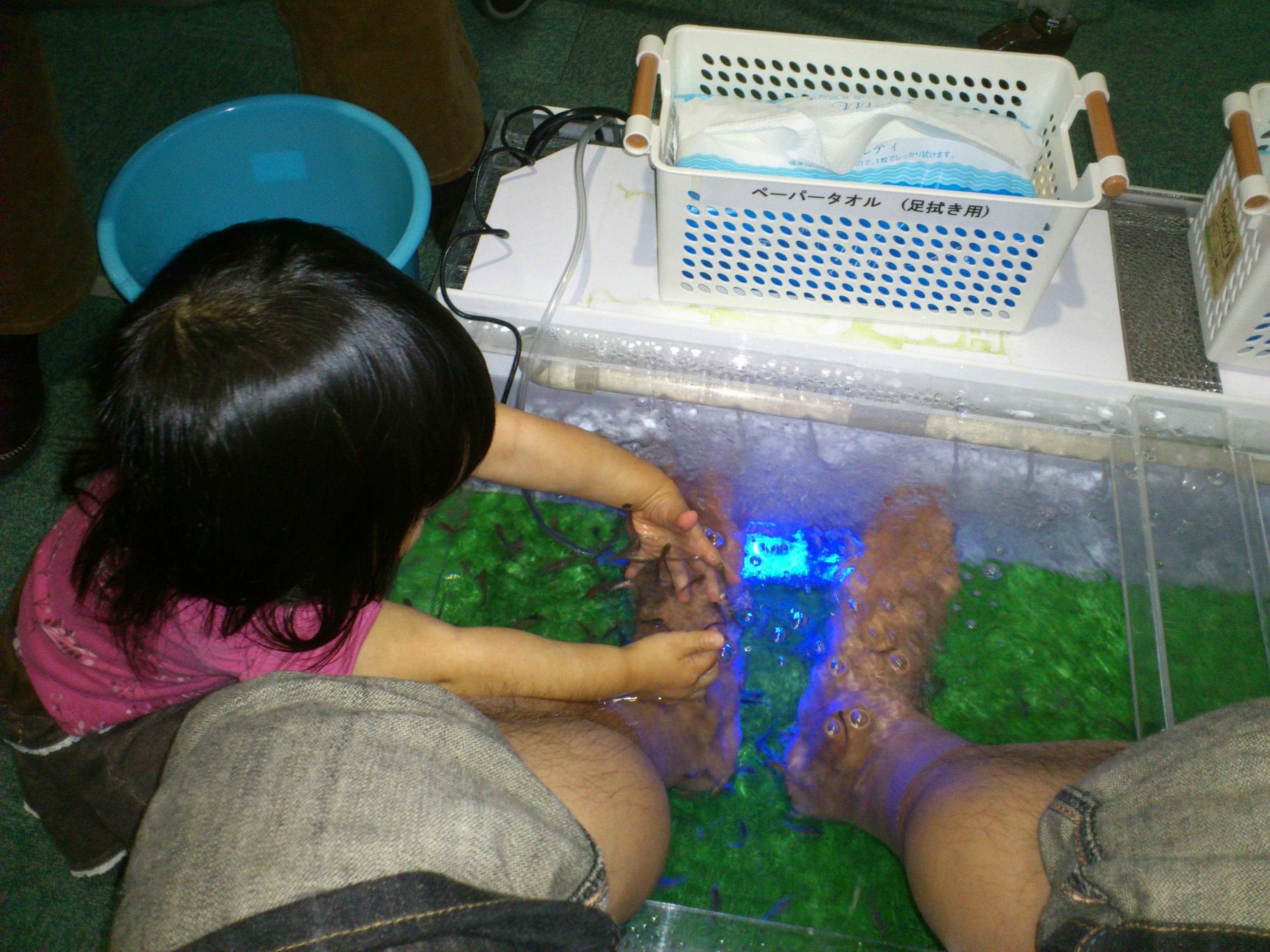 Penguin and Jellyfish Zone