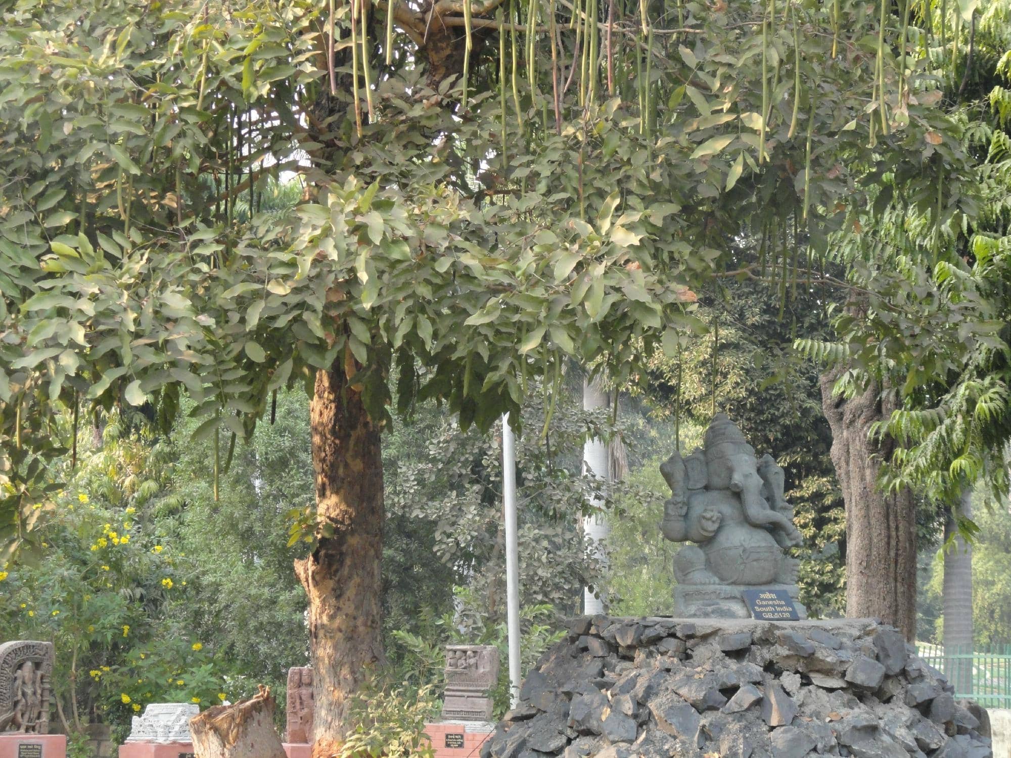 Indian Miniature Paintings