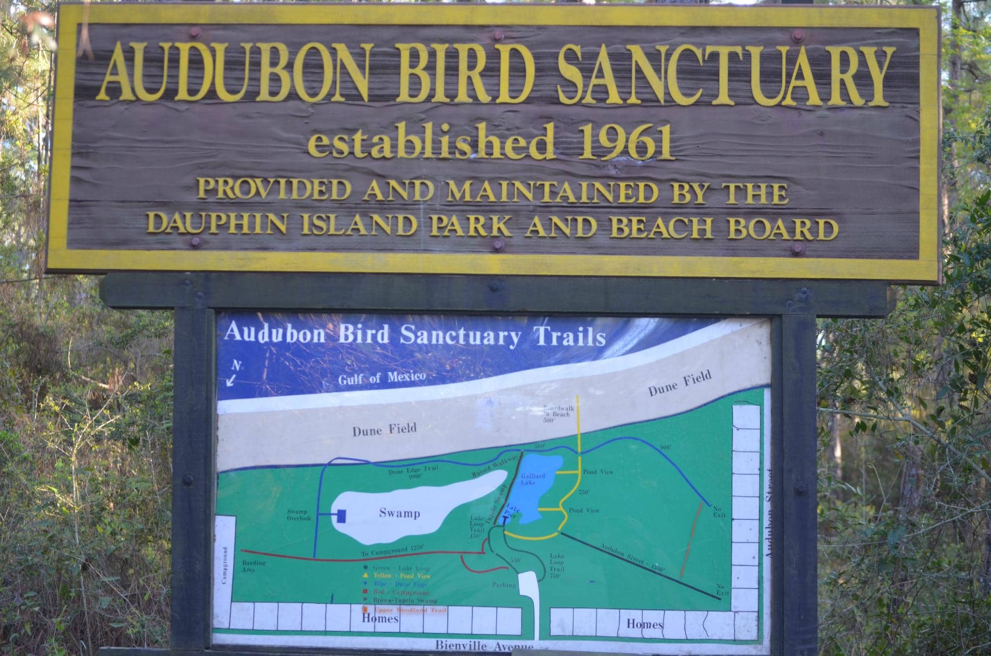 Island Fox Encounters