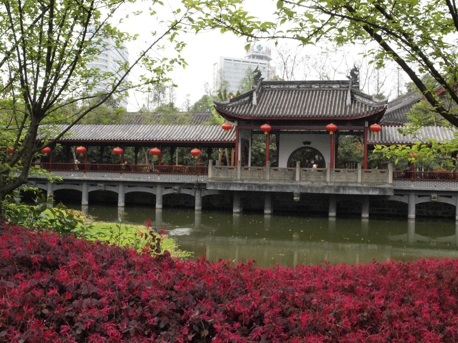 pond