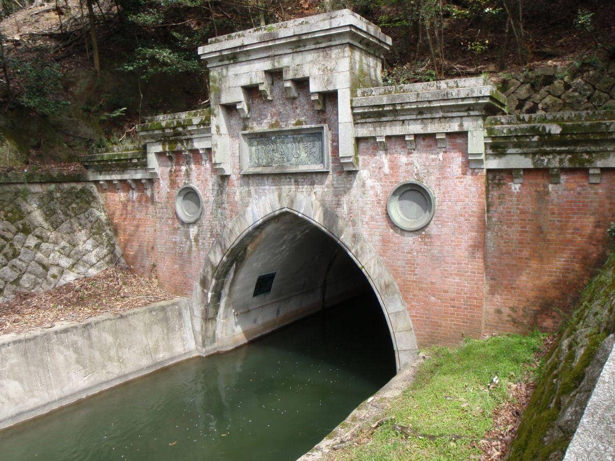 Cherry Blossom Tunnel