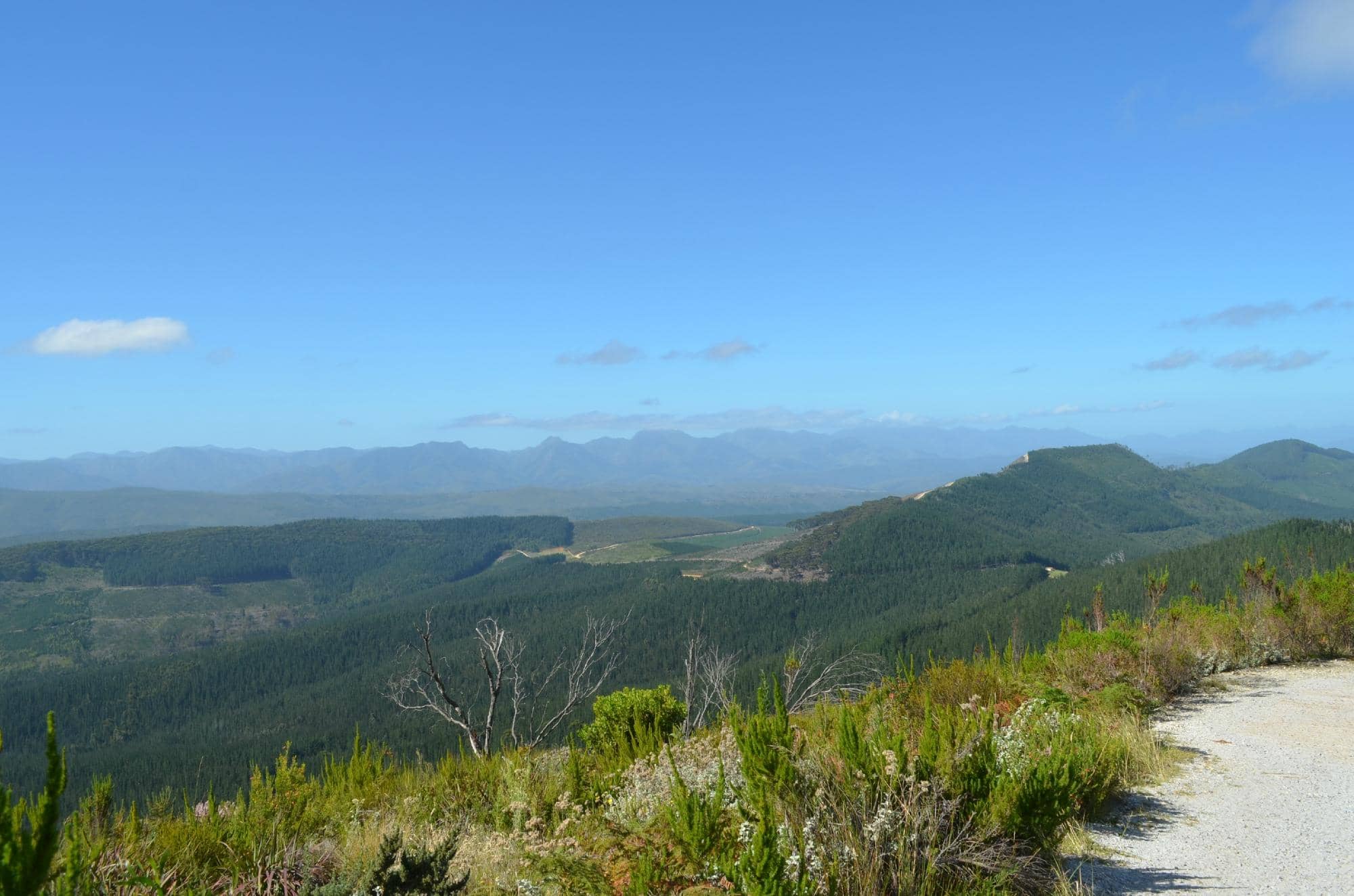 The Challenging Ascent