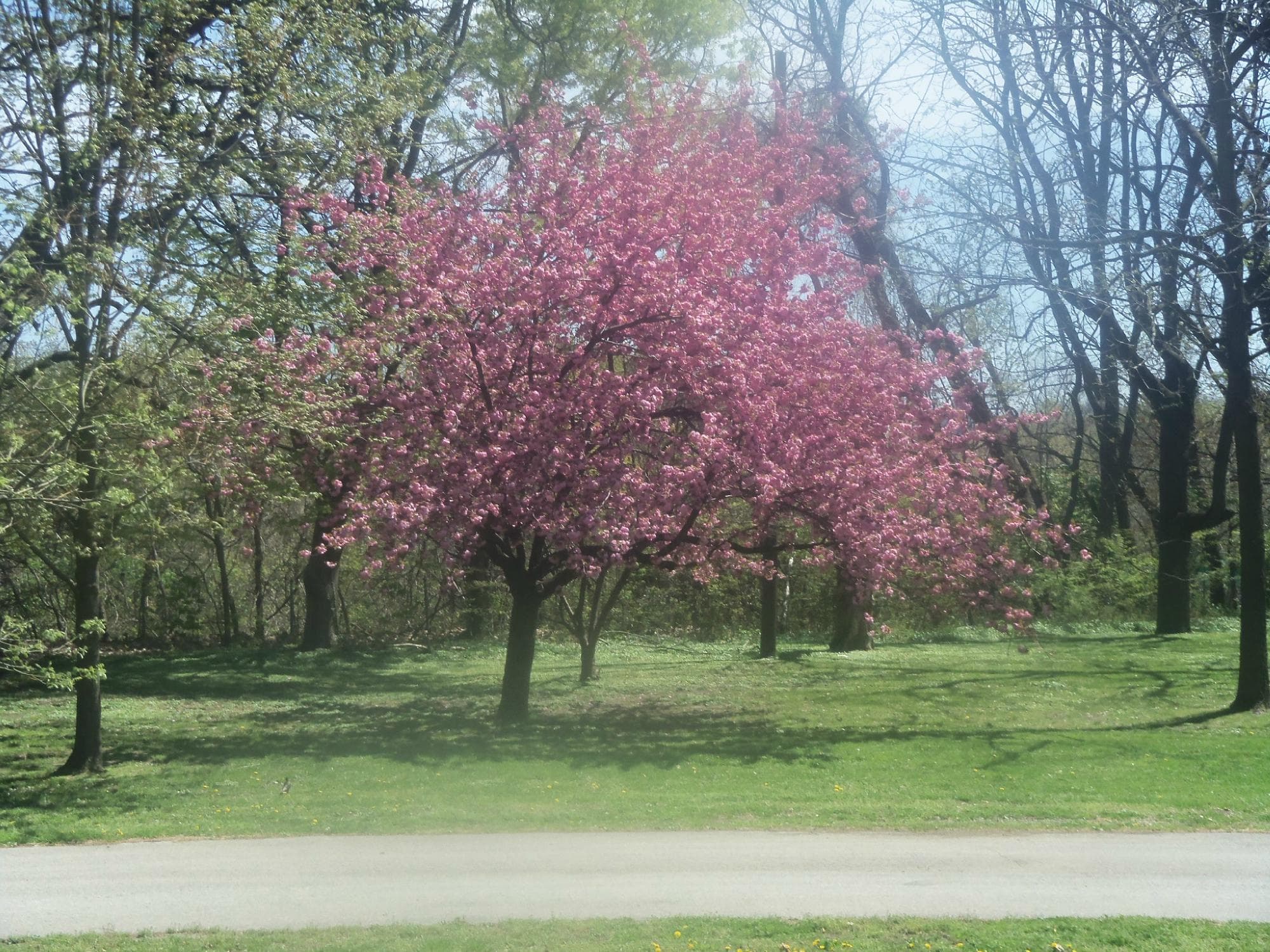 Horticulture Center - Outside