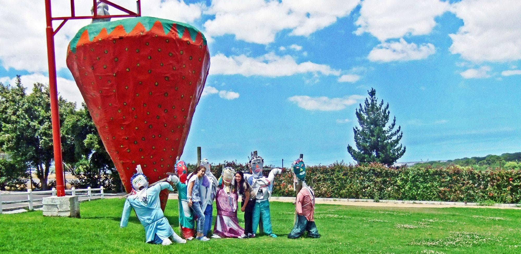 Polkadraai Strawberry Farm - Home to Africa's largest strawberry!