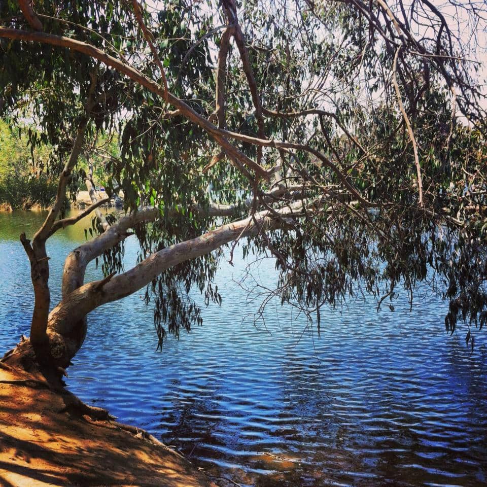 The Learning Center & Gift Shop