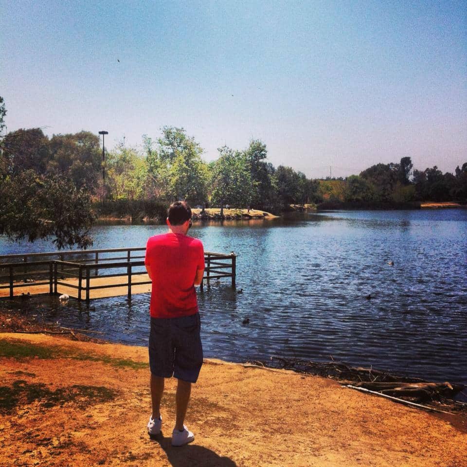 Restored Coastal Redwoods