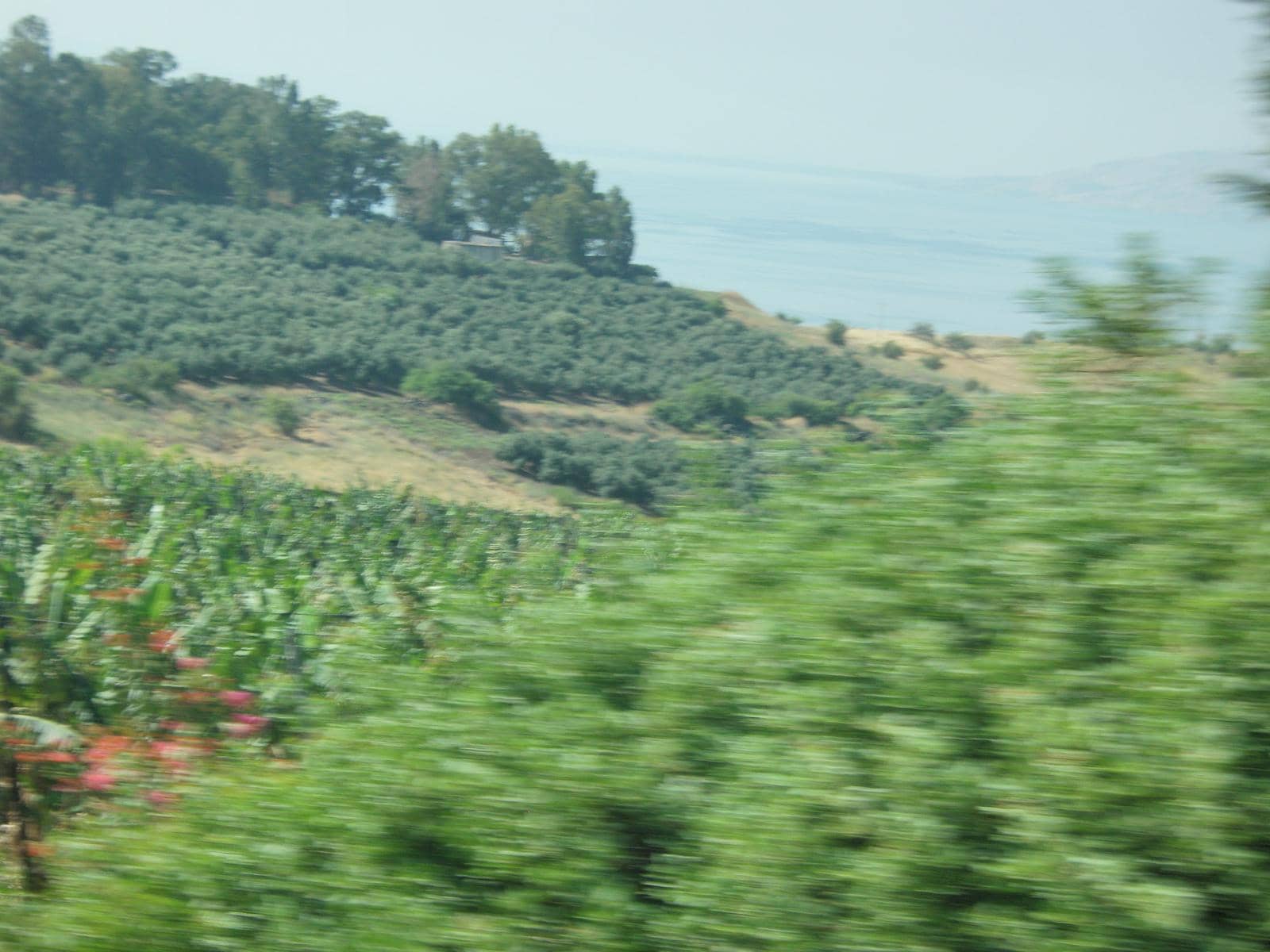Panoramic Sea of Galilee Views