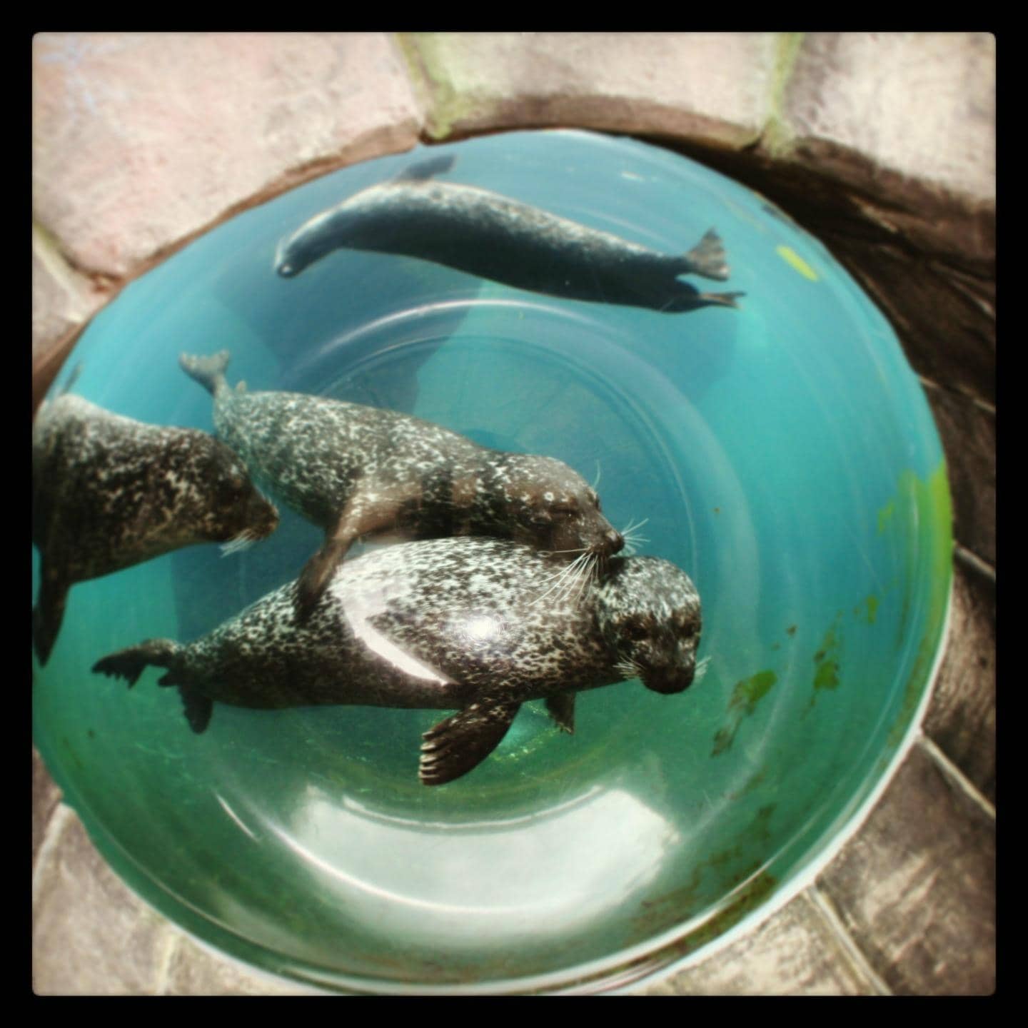 Diverse Marine Life Displays