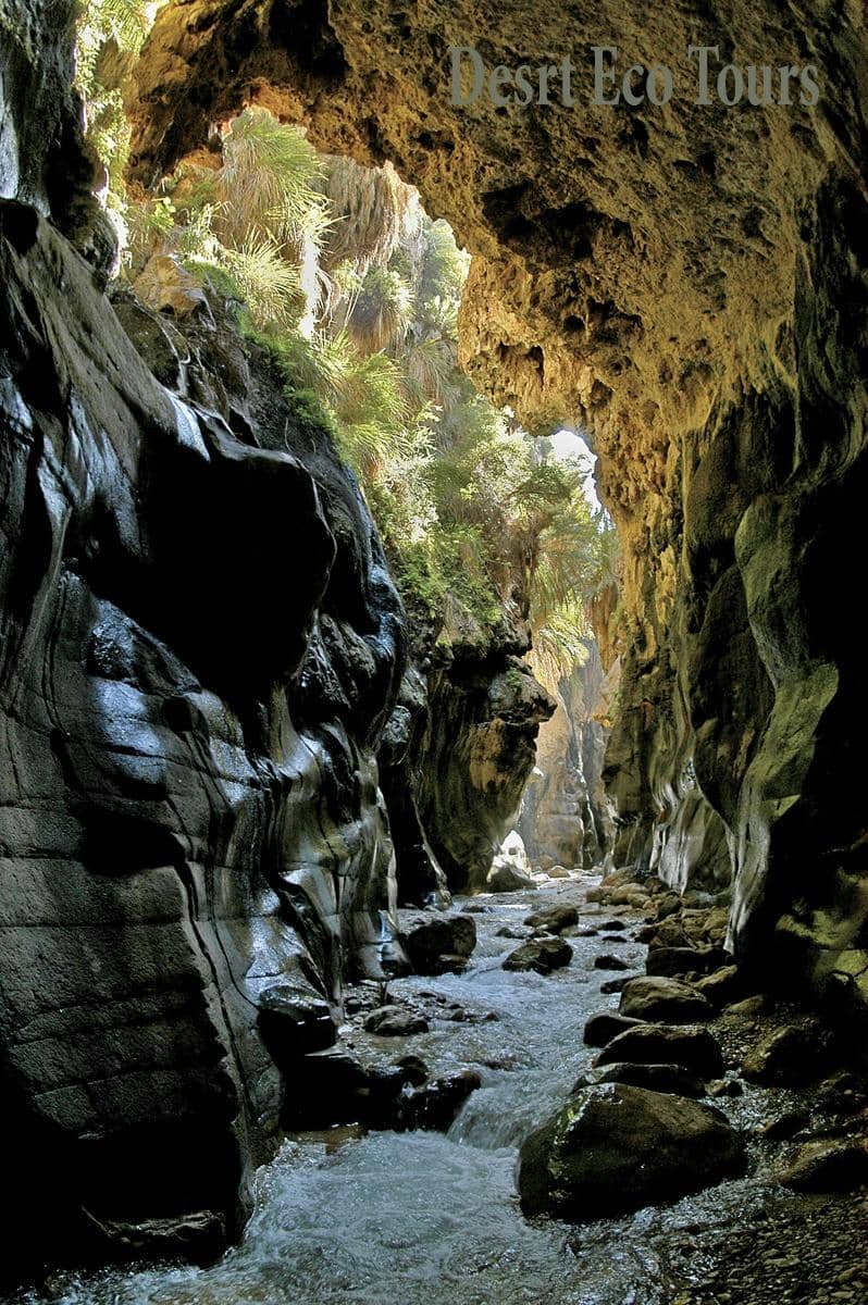 Red Canyon Adventure