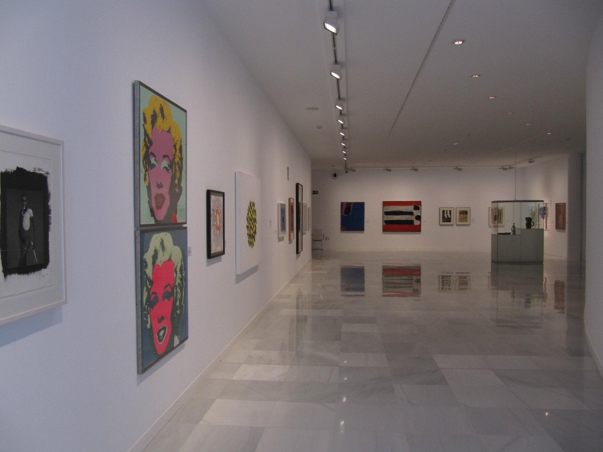 Colección de arte con las obras de Andy Warhol en primer plano, de fondo Tapies y José Guerrero