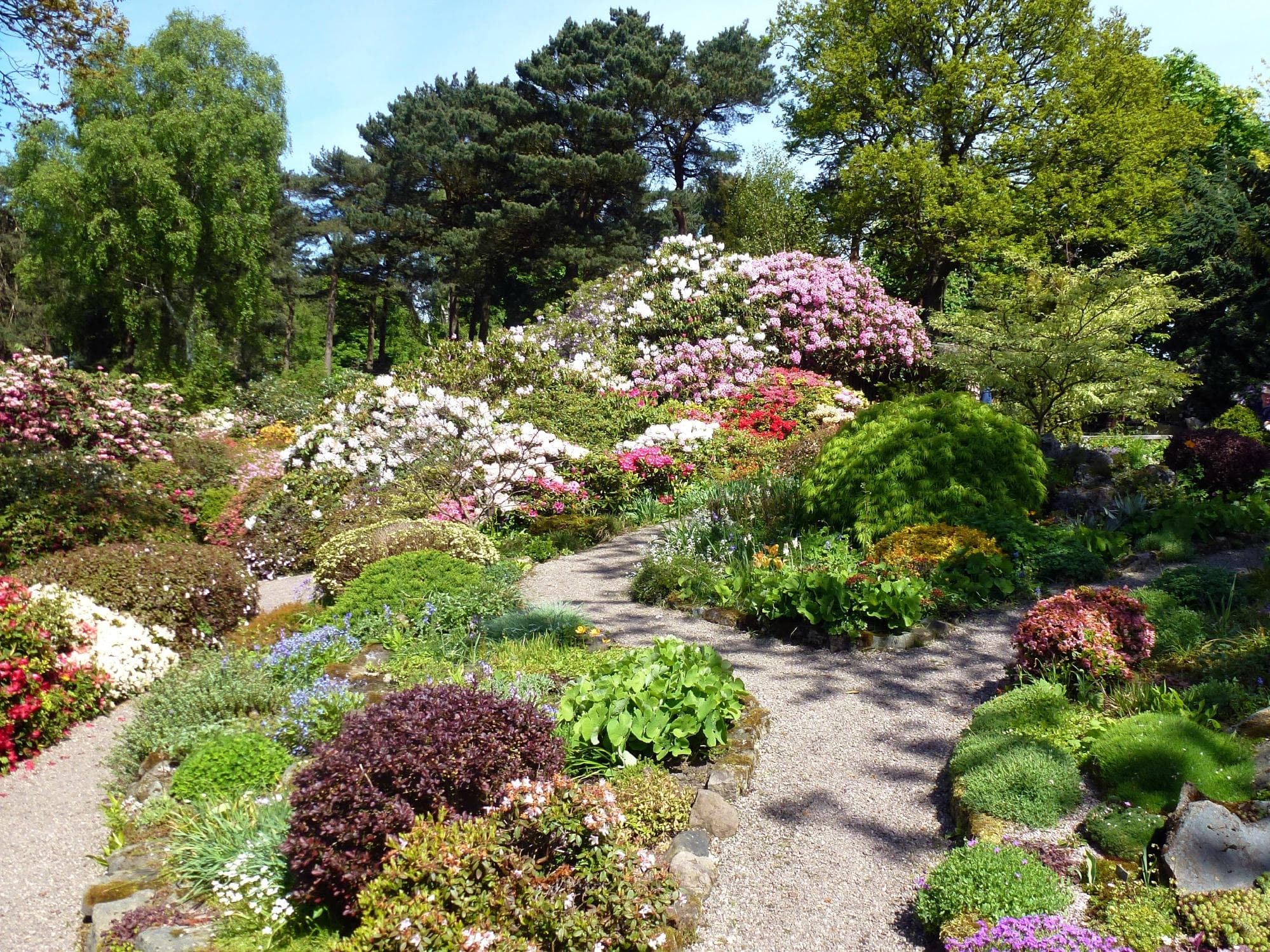 Lea Gardens, central area