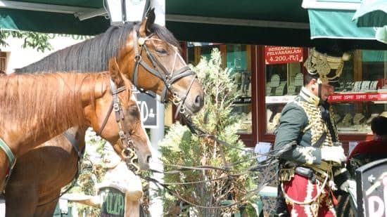 Natural Shade & Green Spaces