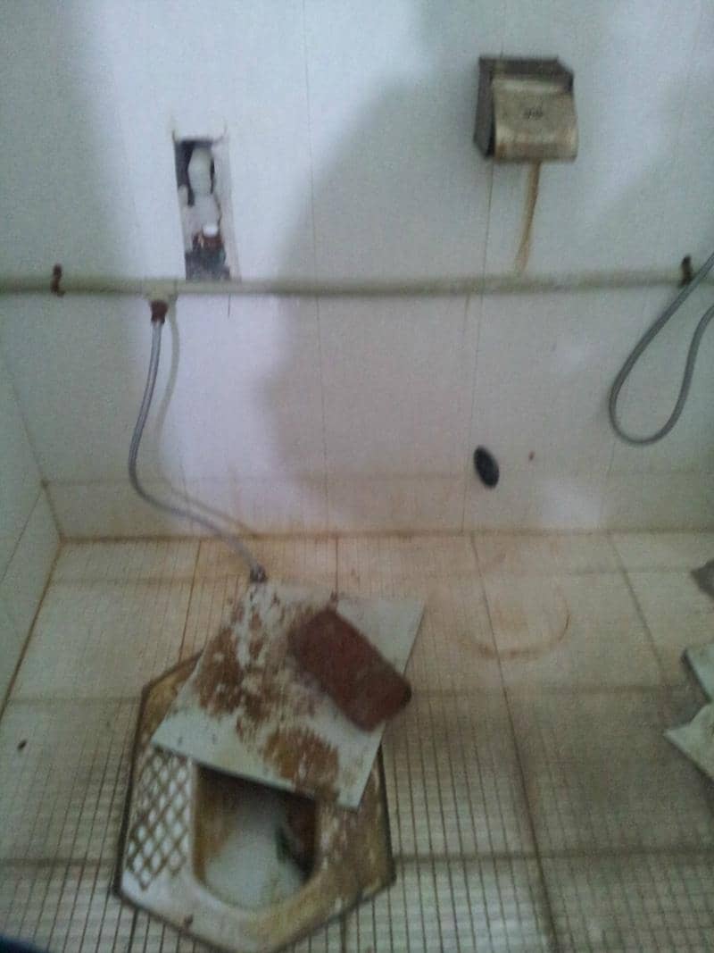 Local Cultural Experience