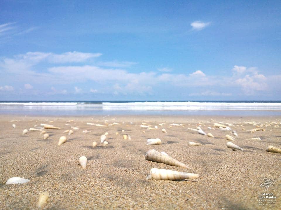 Estuary Wildlife Tour