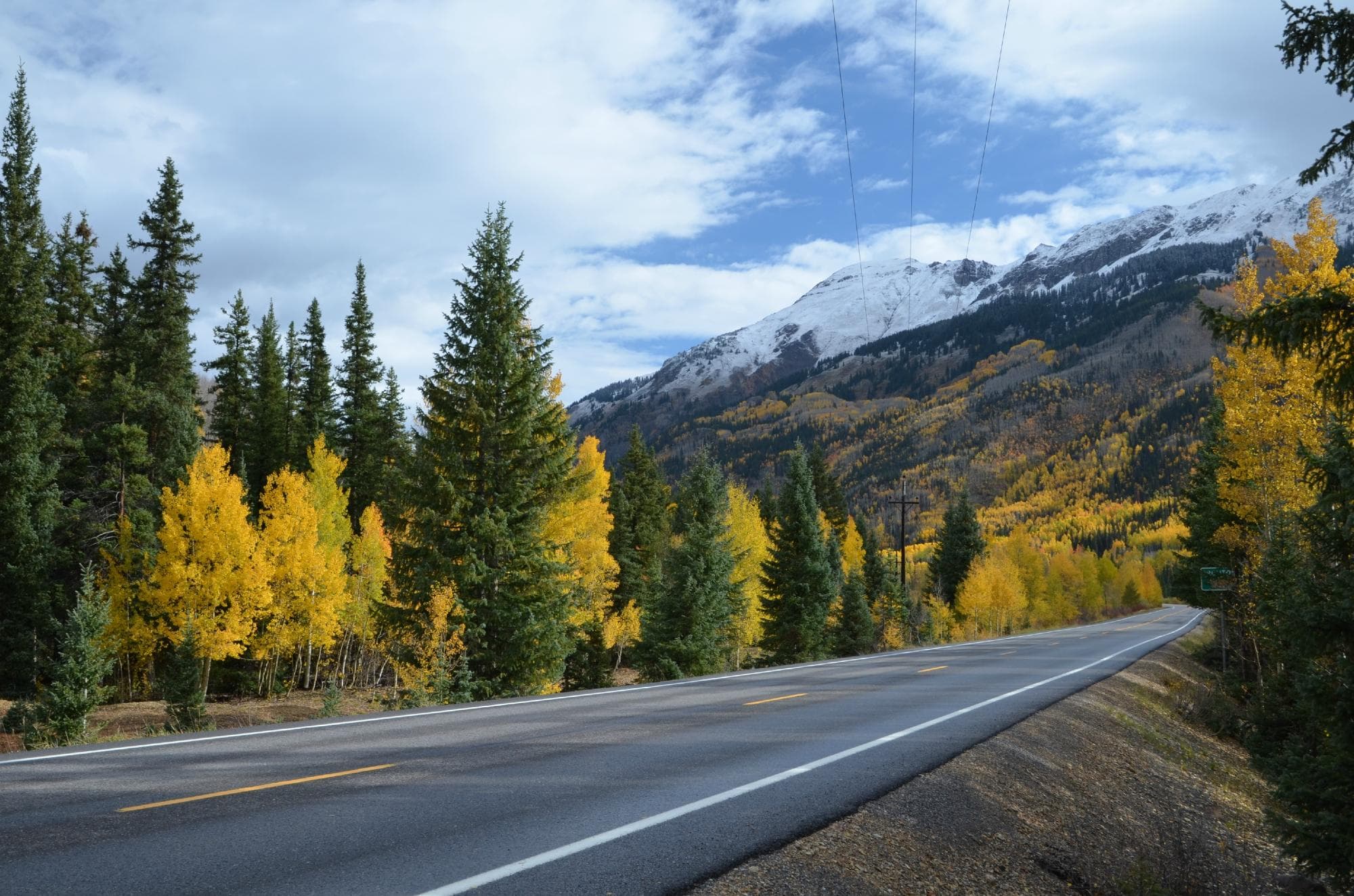 Fall colours
