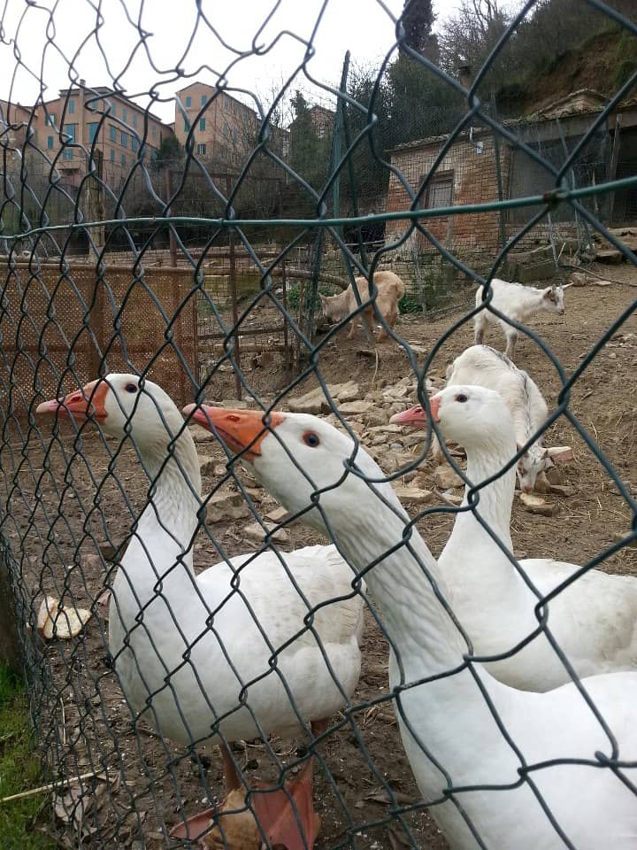 Tuscan Tasting Platter