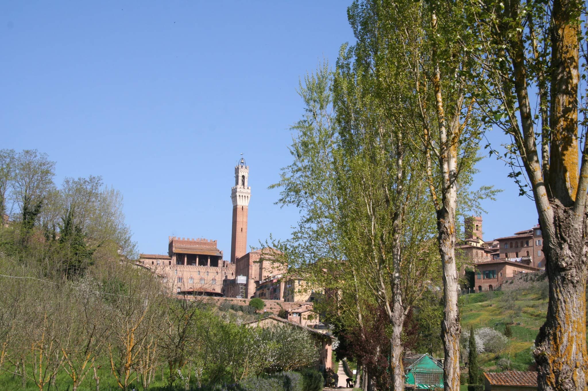 Farm Animal Encounters