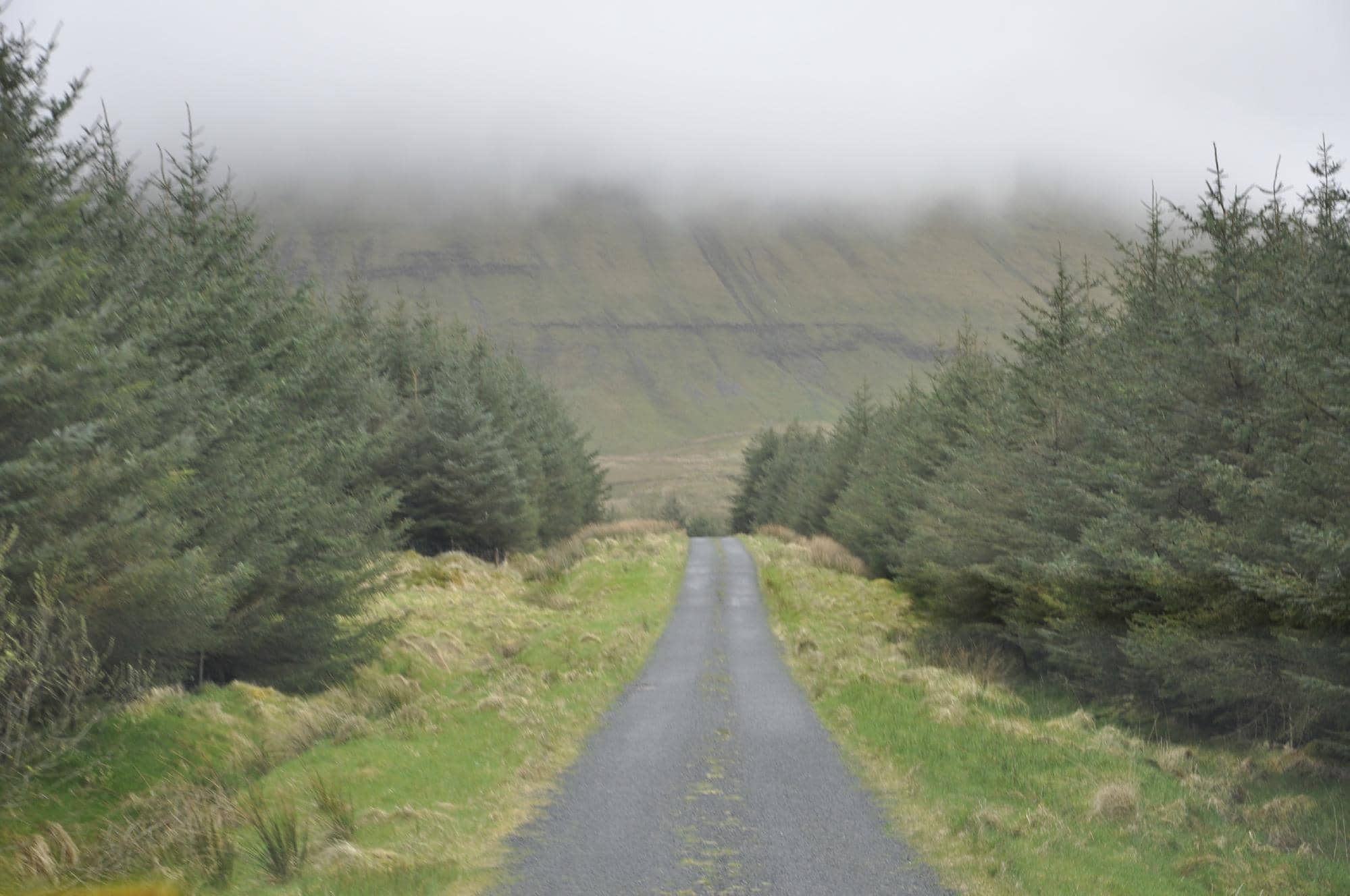 Lush Green Valleys