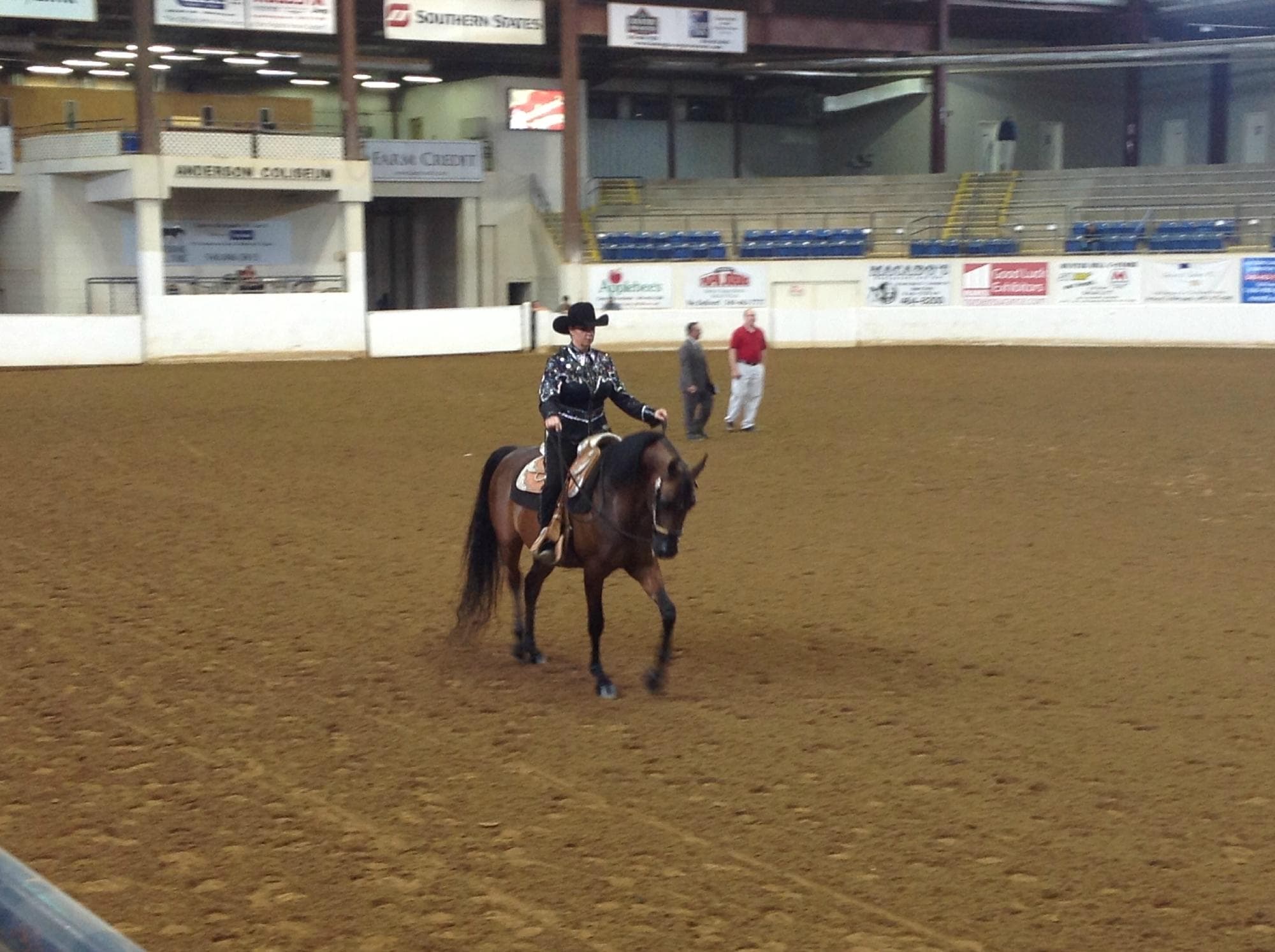 Pleasure Western Competition 2