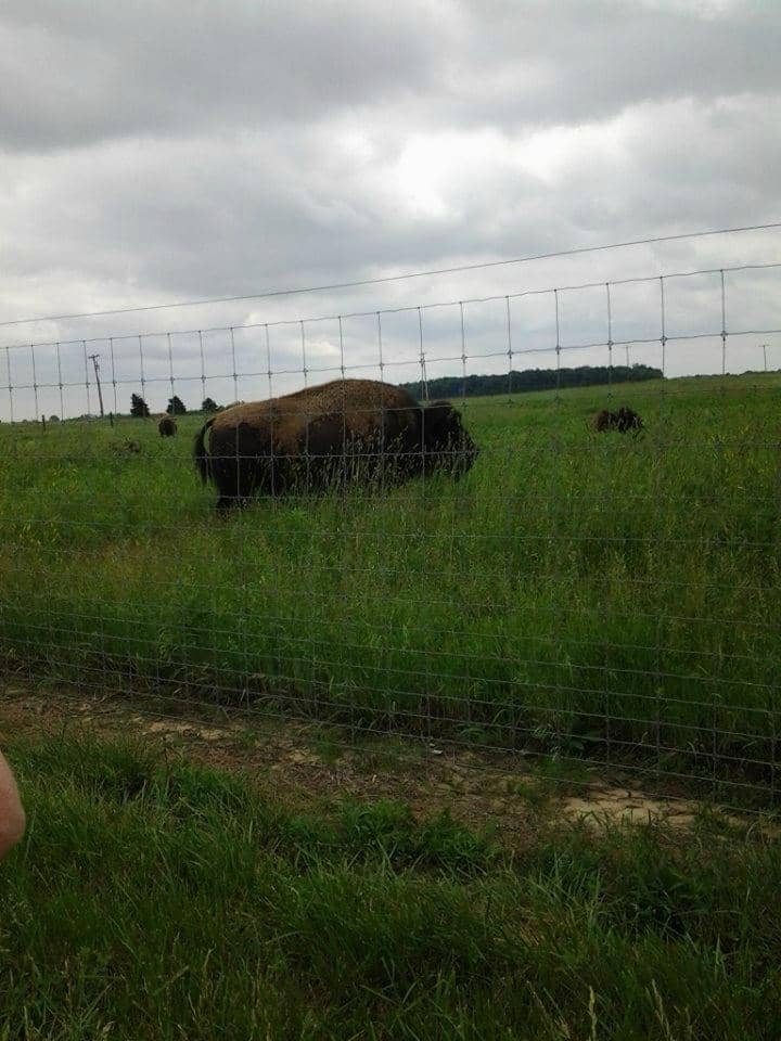 Vertical photo