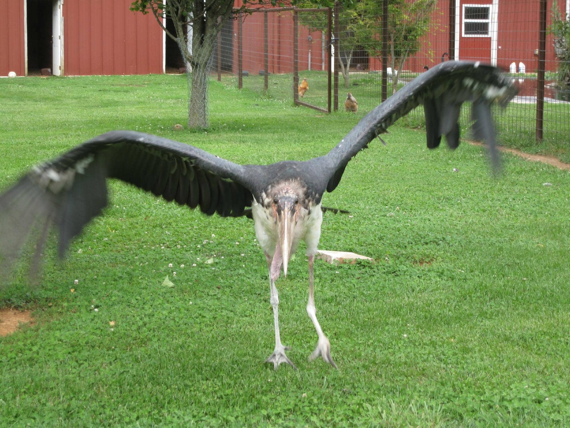 Interactive Feeding Experiences