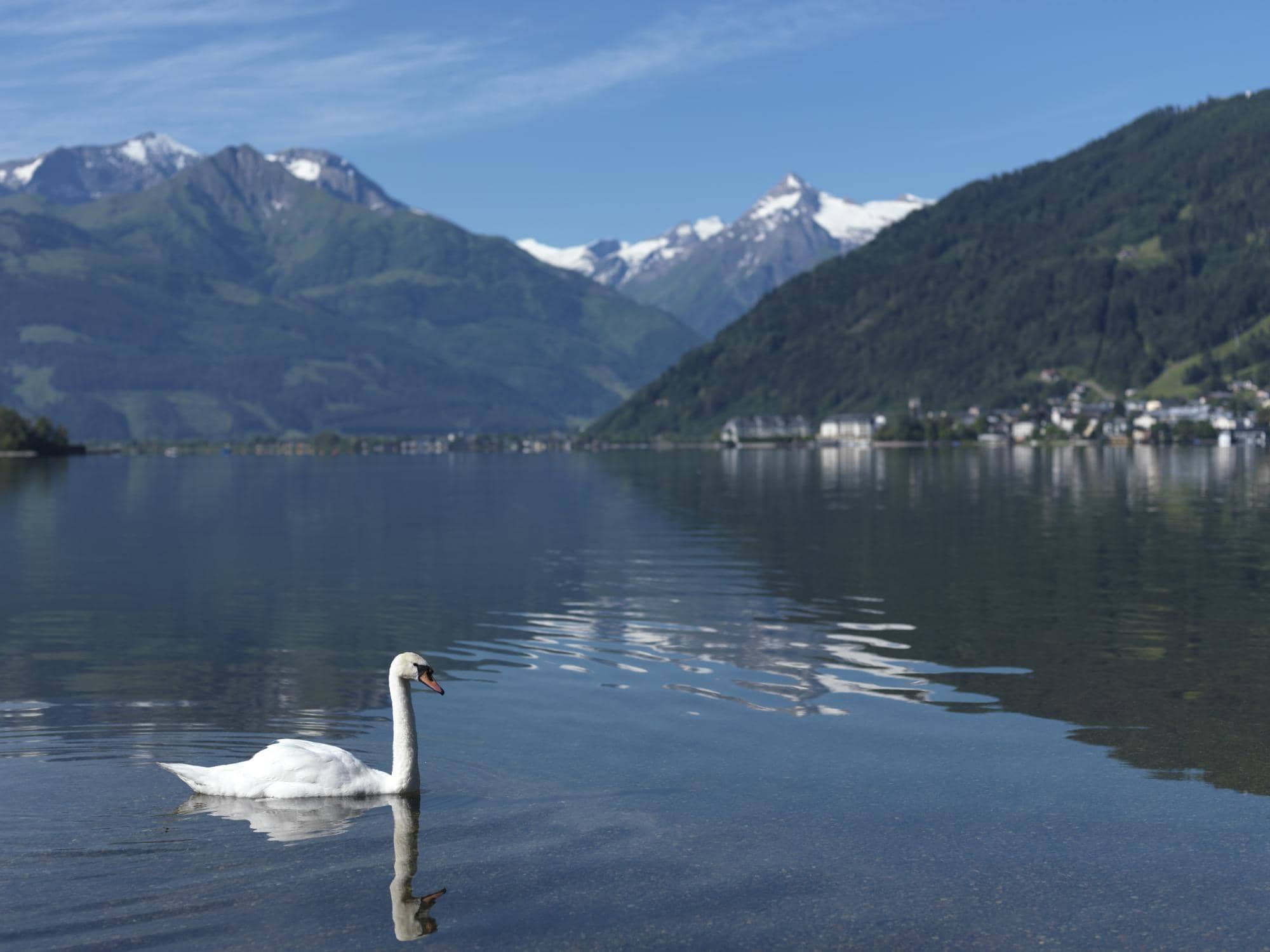 Schmittenhöhe Mountain Views