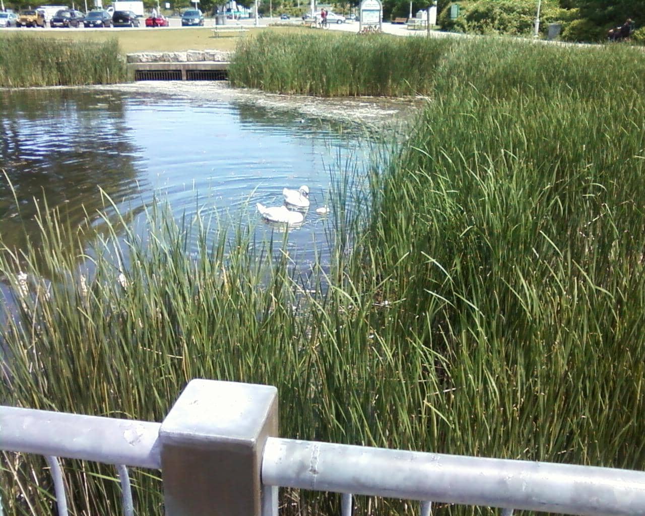Waterfront Views & Boardwalk