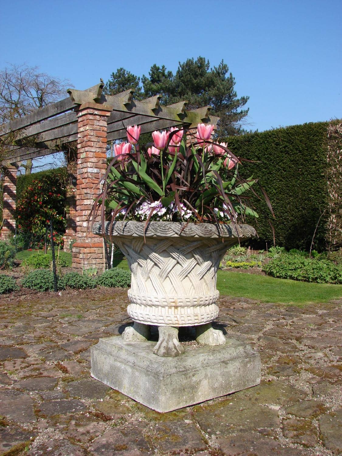 Wooded Areas & Meadows