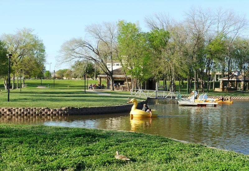 Duck & swan paddle boats at Towne Lake Park, McKinney TX