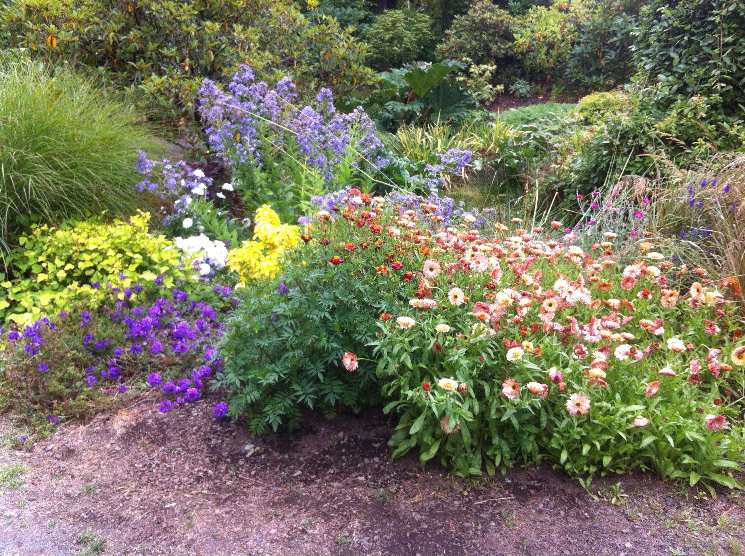 Connie Hansen Gardens