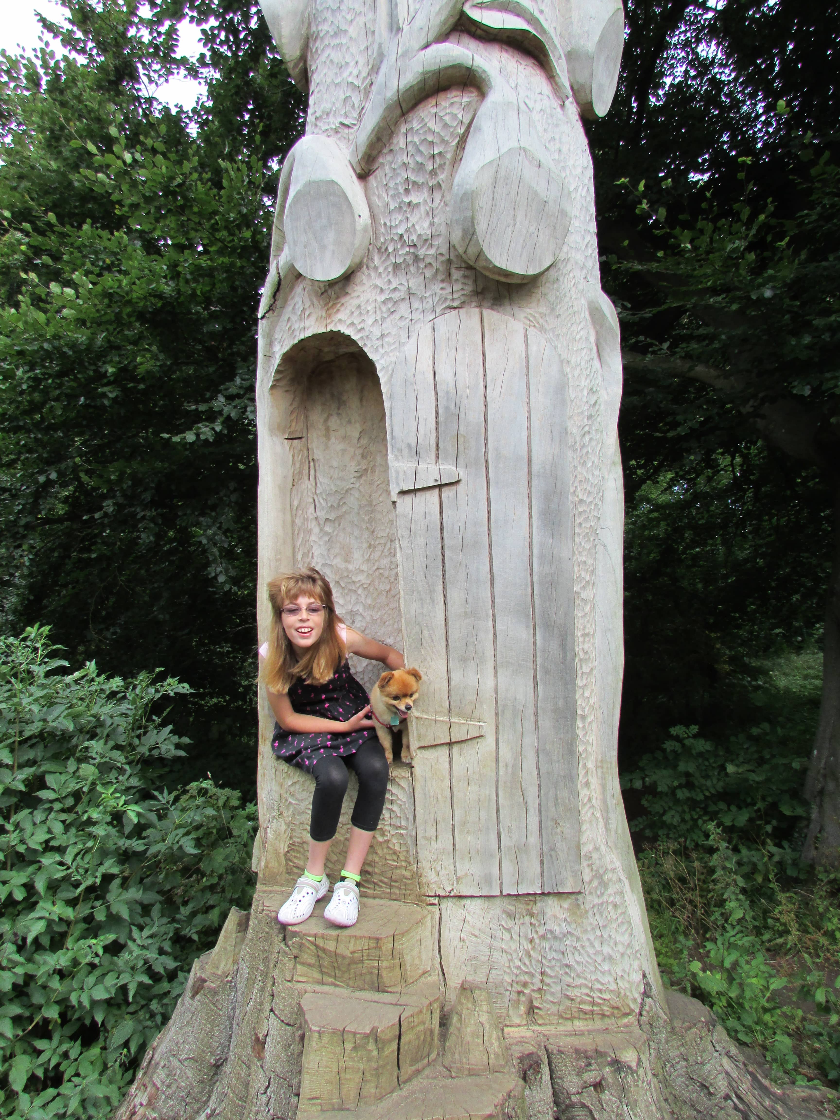 Woodland Trails & Oak Trees