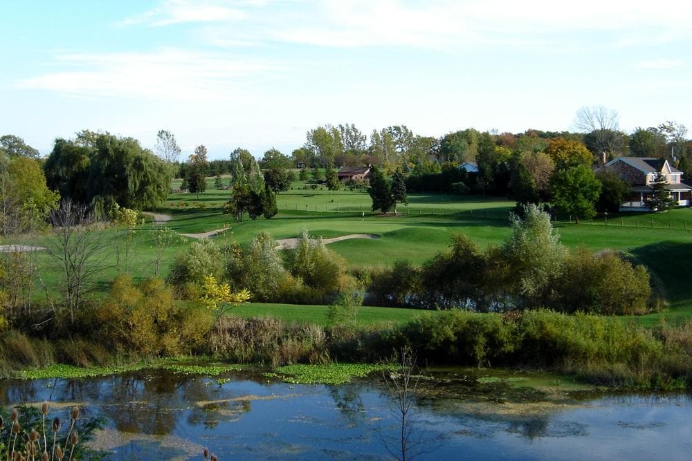 A view of the course