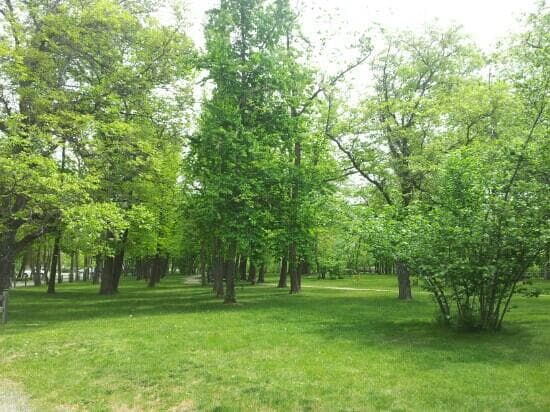 Gellatly Nut Farm Regional Park