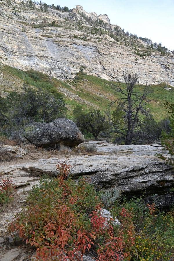 Lamoille Canyon Scenic Drive