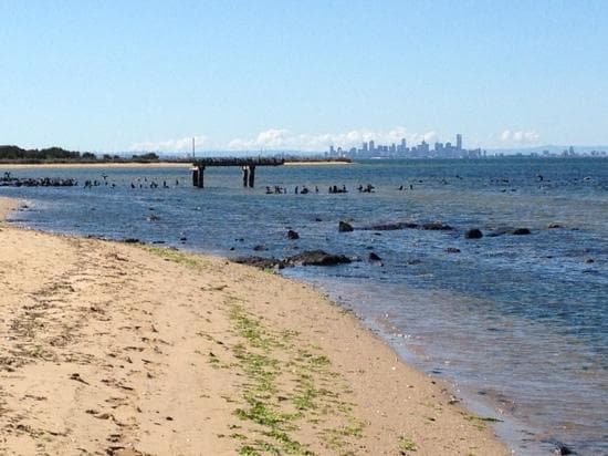 great view of the city from the beach