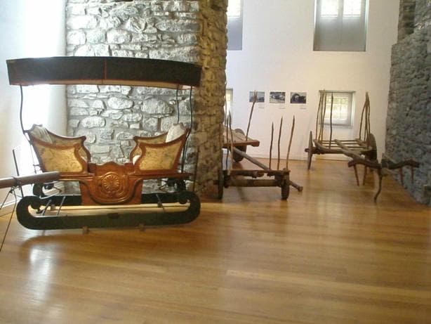 сани для богатых европейцев