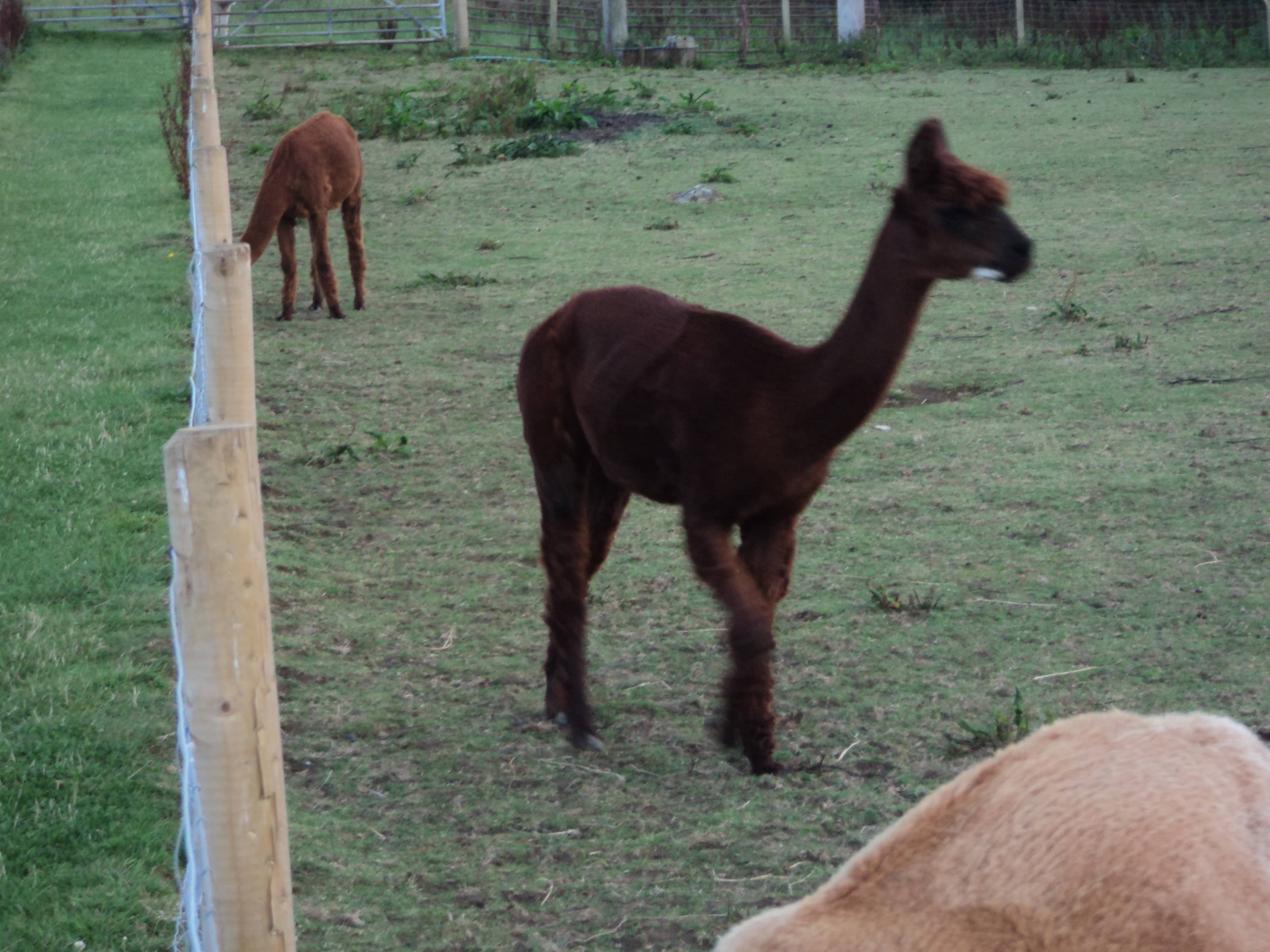 Sprawling Soft Play Area