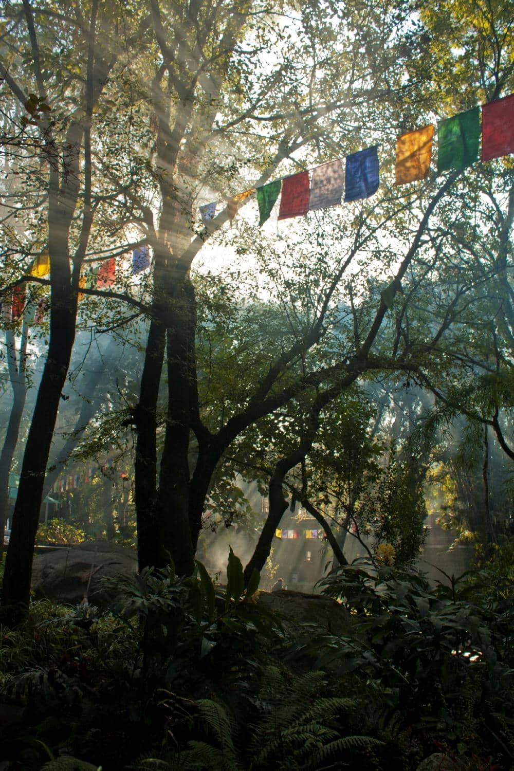 Deden Tsuglagkhang Temple