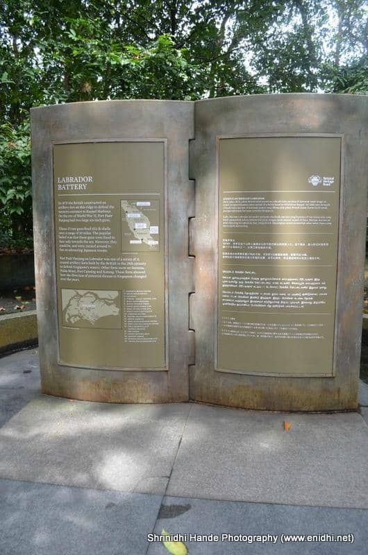 WWII Relics