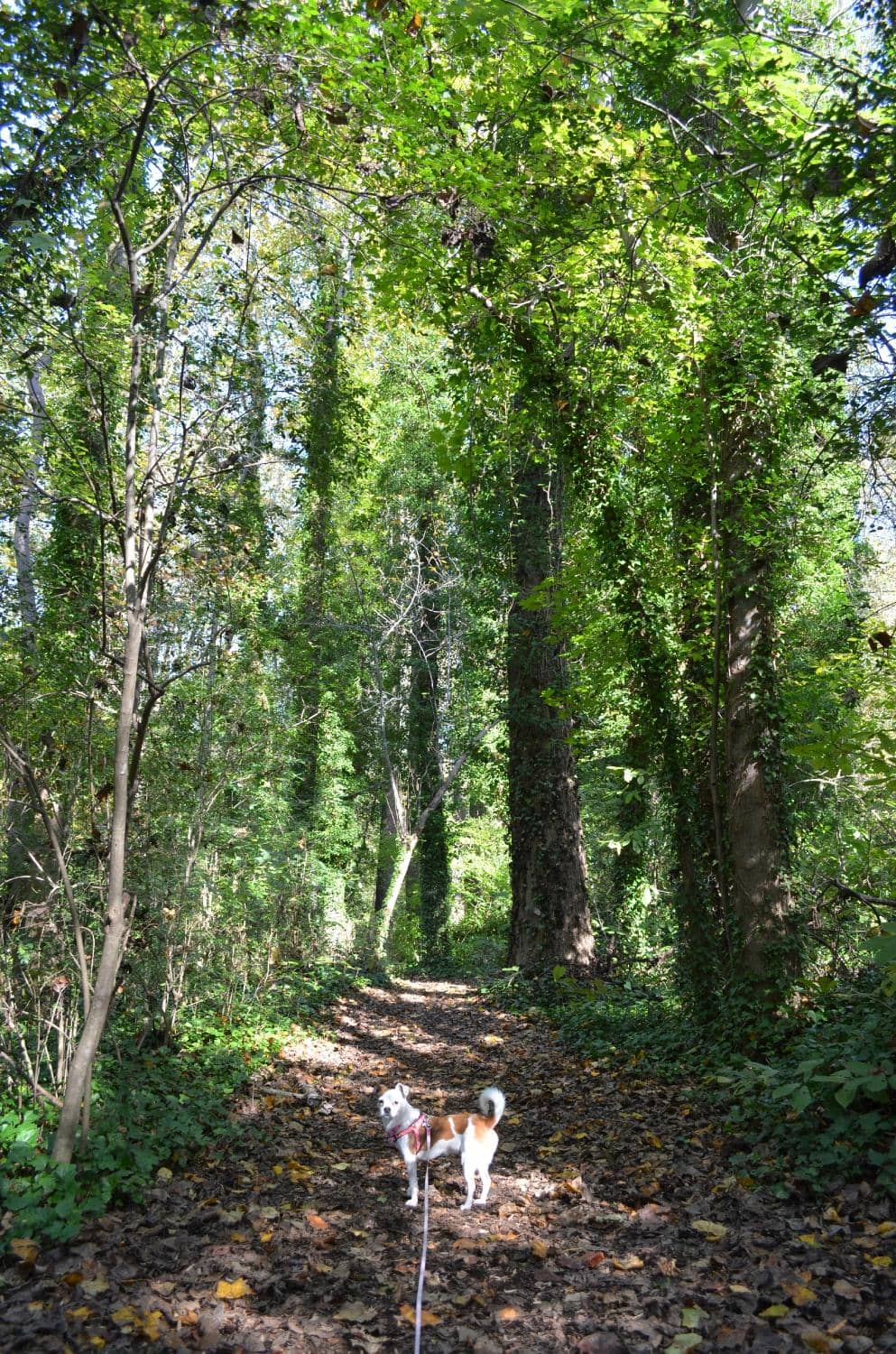 Vertical photo