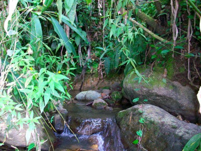 Sustainable Lodging