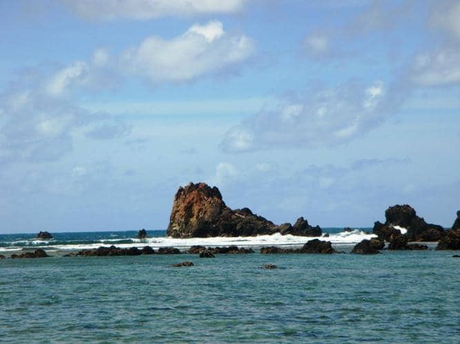 Surfing Paradise