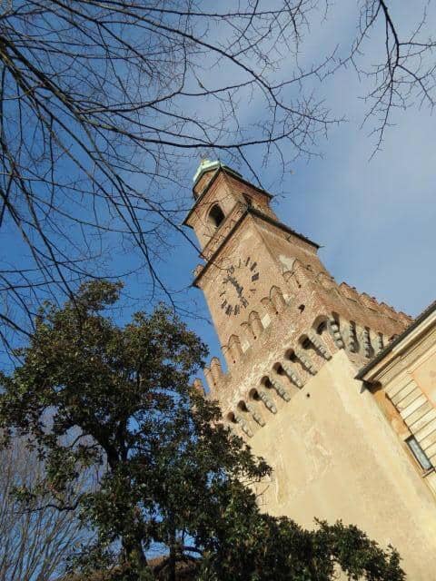 Vertical photo