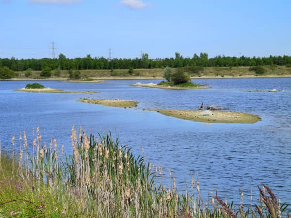 The Forest Centre Cafe