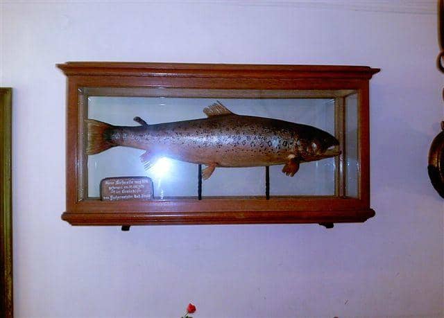 Königssee Boat Ride