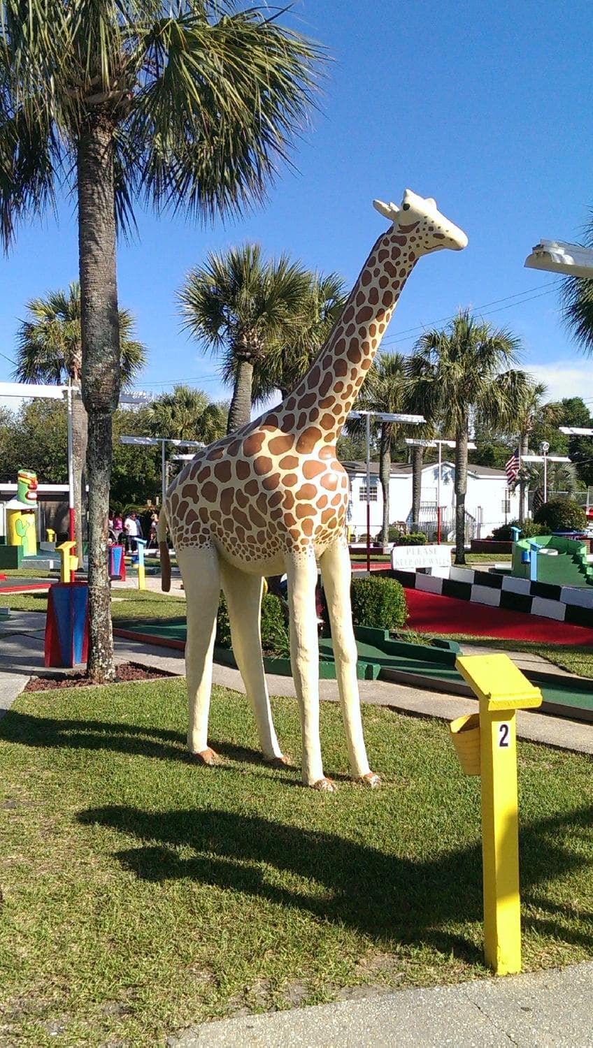 Giraffe