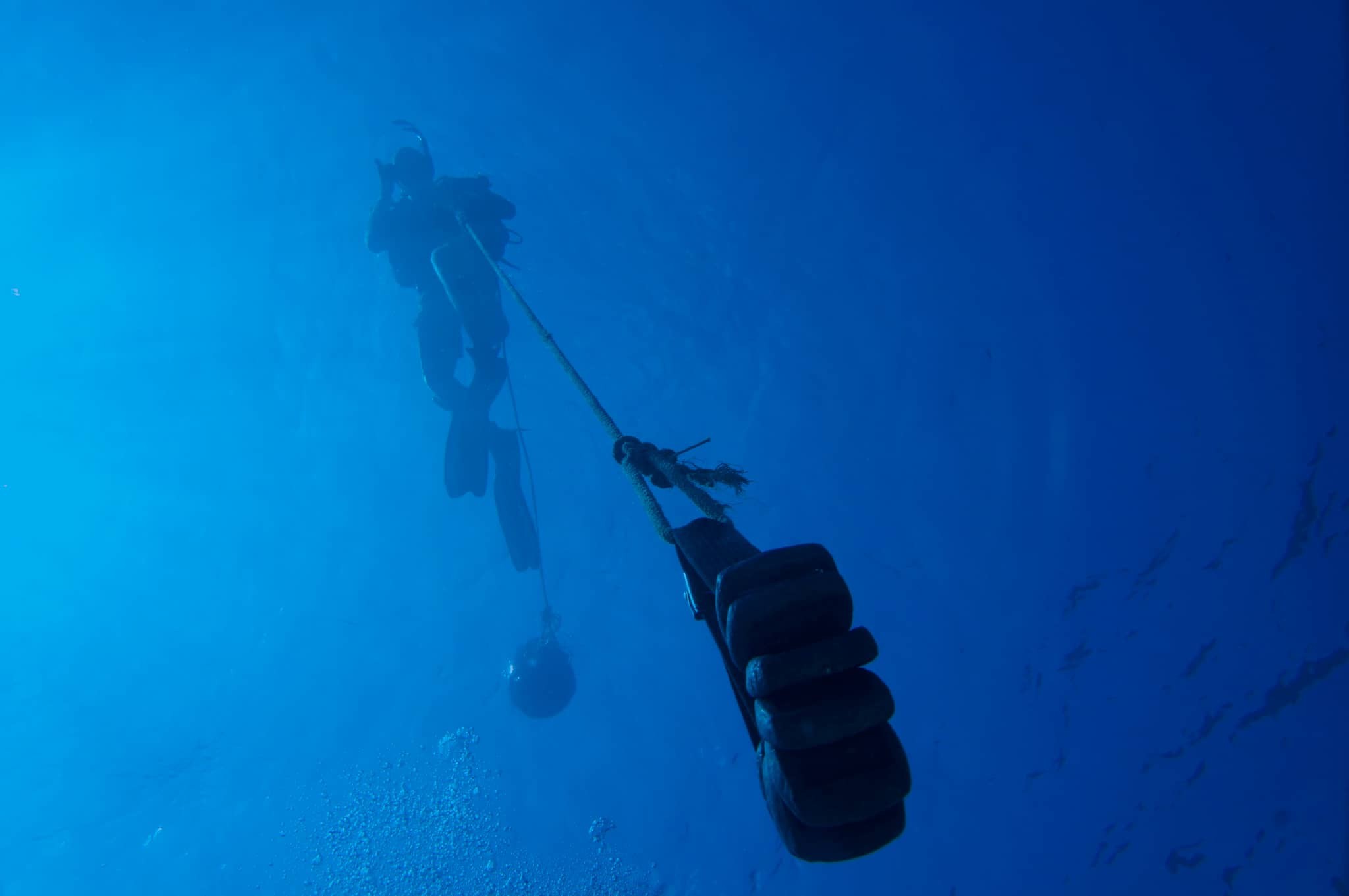 Snorkeling & Diving