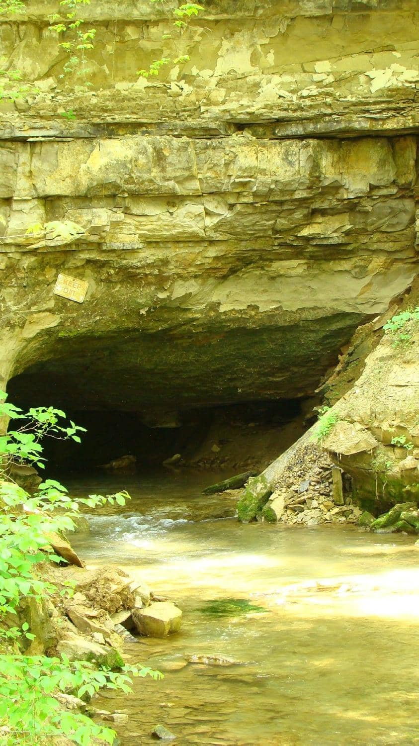 The Invigorating Spring